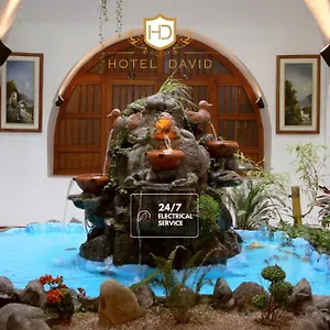 3* Hotel David